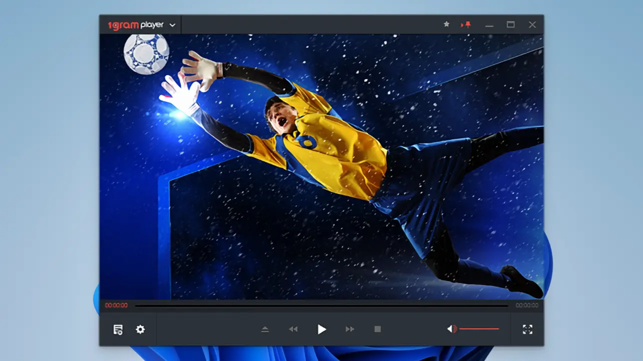 1그램 플레이어 23 1gram player_02