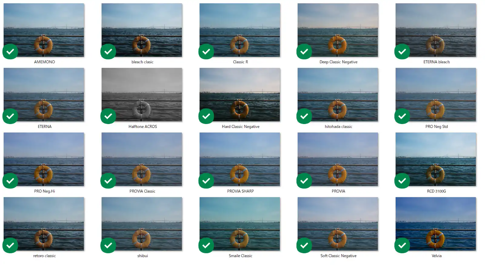 Fujifilm X RAW Studio - Film Simulation_02