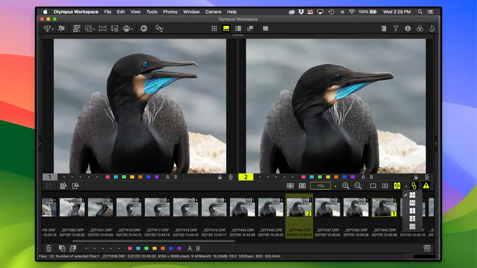 OM Workspace - RAW file support_01