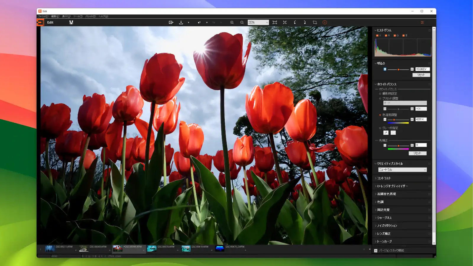 Sony Imaging Edge Desktop - Color Grading_03