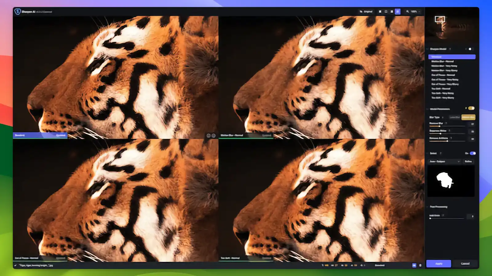 Topaz photo ai - Sharpening_02